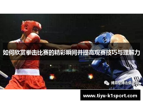 如何欣赏拳击比赛的精彩瞬间并提高观赛技巧与理解力