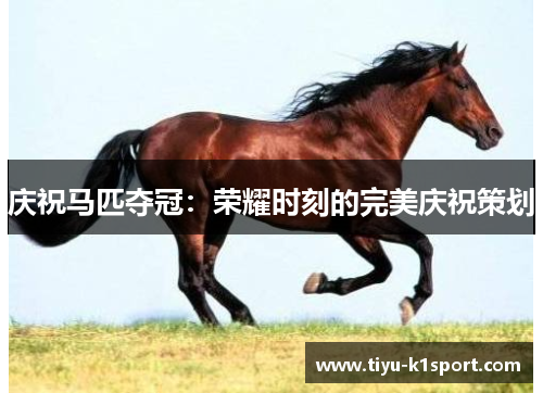 庆祝马匹夺冠:荣耀时刻的完美庆祝策划 庆祝马匹夺冠:荣耀时刻的完美庆祝策划