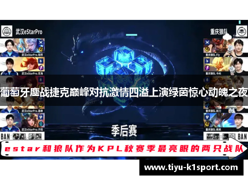 葡萄牙鏖战捷克巅峰对抗激情四溢上演绿茵惊心动魄之夜