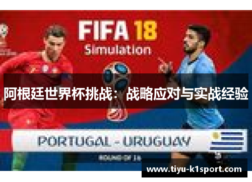 阿根廷世界杯挑战：战略应对与实战经验