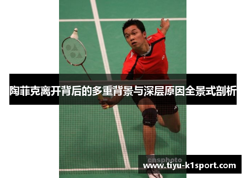 陶菲克离开背后的多重背景与深层原因全景式剖析