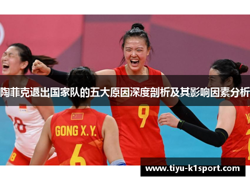 陶菲克退出国家队的五大原因深度剖析及其影响因素分析