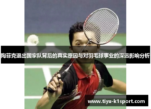 陶菲克退出国家队背后的真实原因与对羽毛球事业的深远影响分析