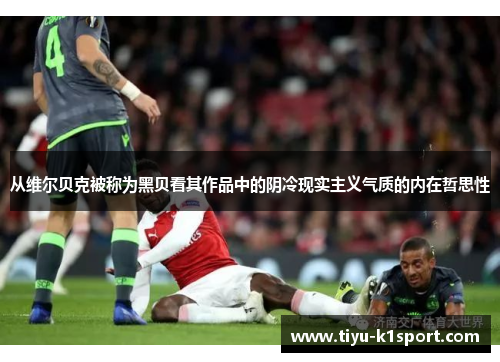 从维尔贝克被称为黑贝看其作品中的阴冷现实主义气质的内在哲思性